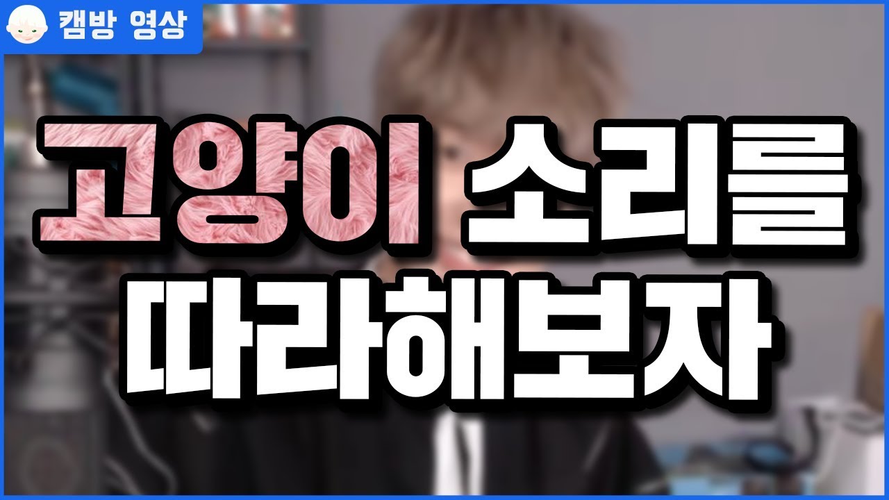 고양이 소리를 따라해보자 [늪지대 캠방영상]