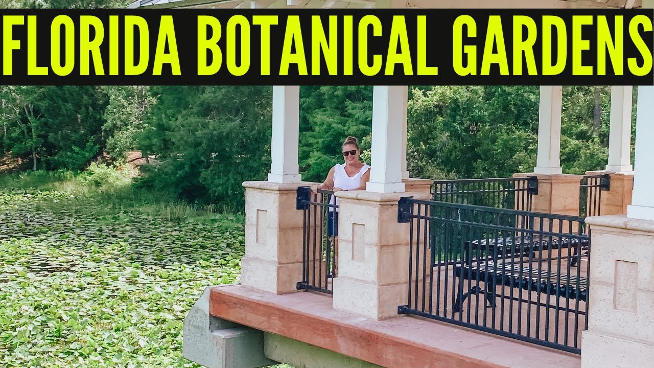 Florida Botanical Gardens in Largo Florida