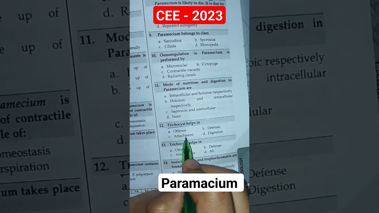 MCQ.... Most probale question in upcoming CEE exam ....2023 (2080)