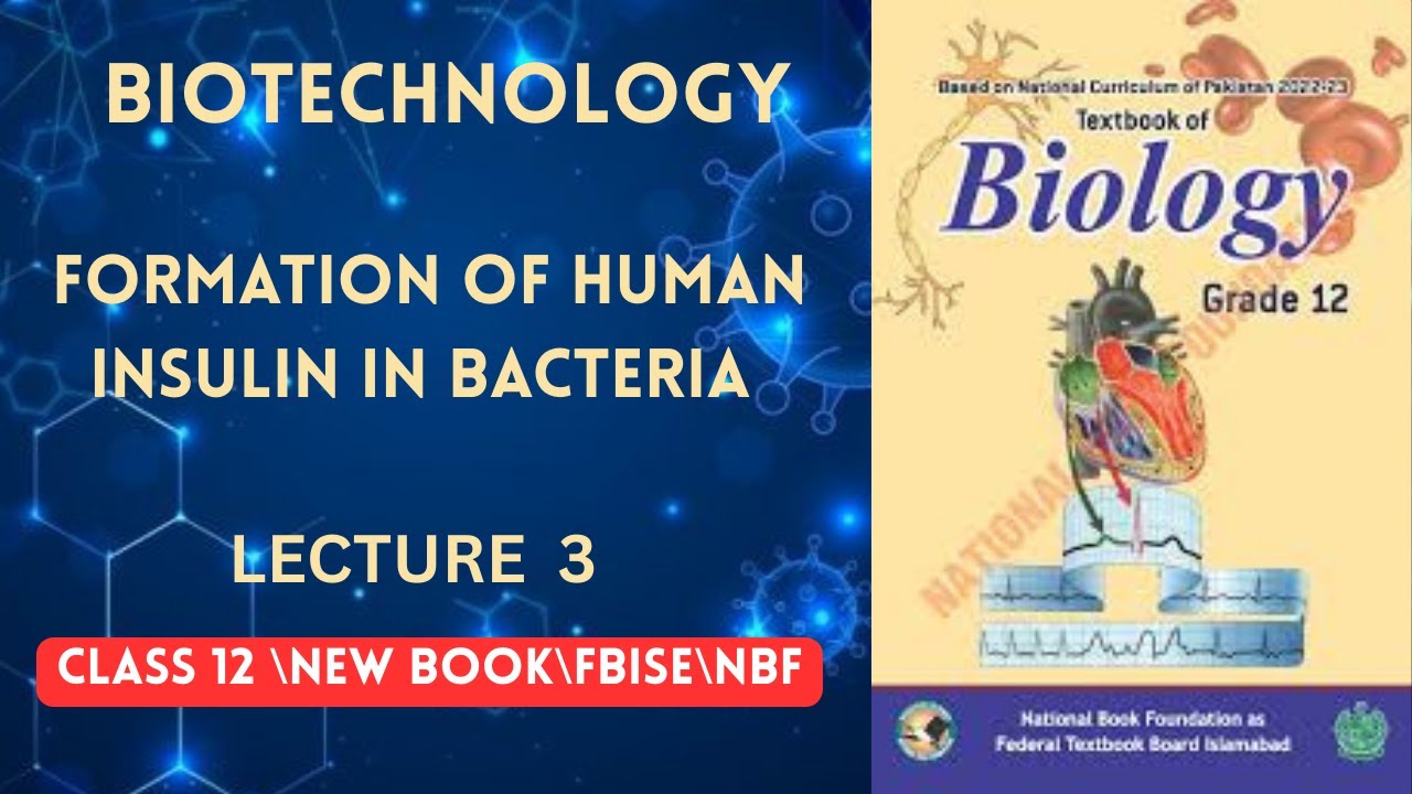 Formation of human insulin in bacteria| Lecture 3|Chap 10| NBF | New book 2025 | 2nd year biology
