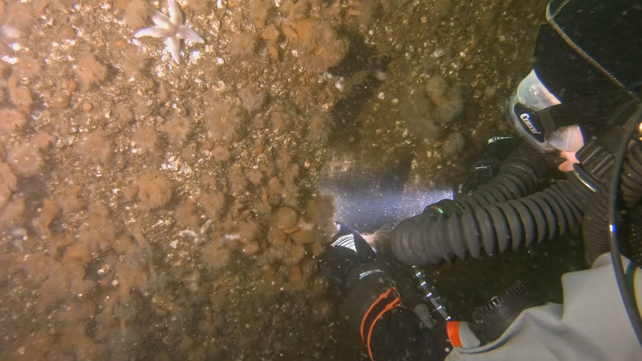 Wreck of a german mini submarine 