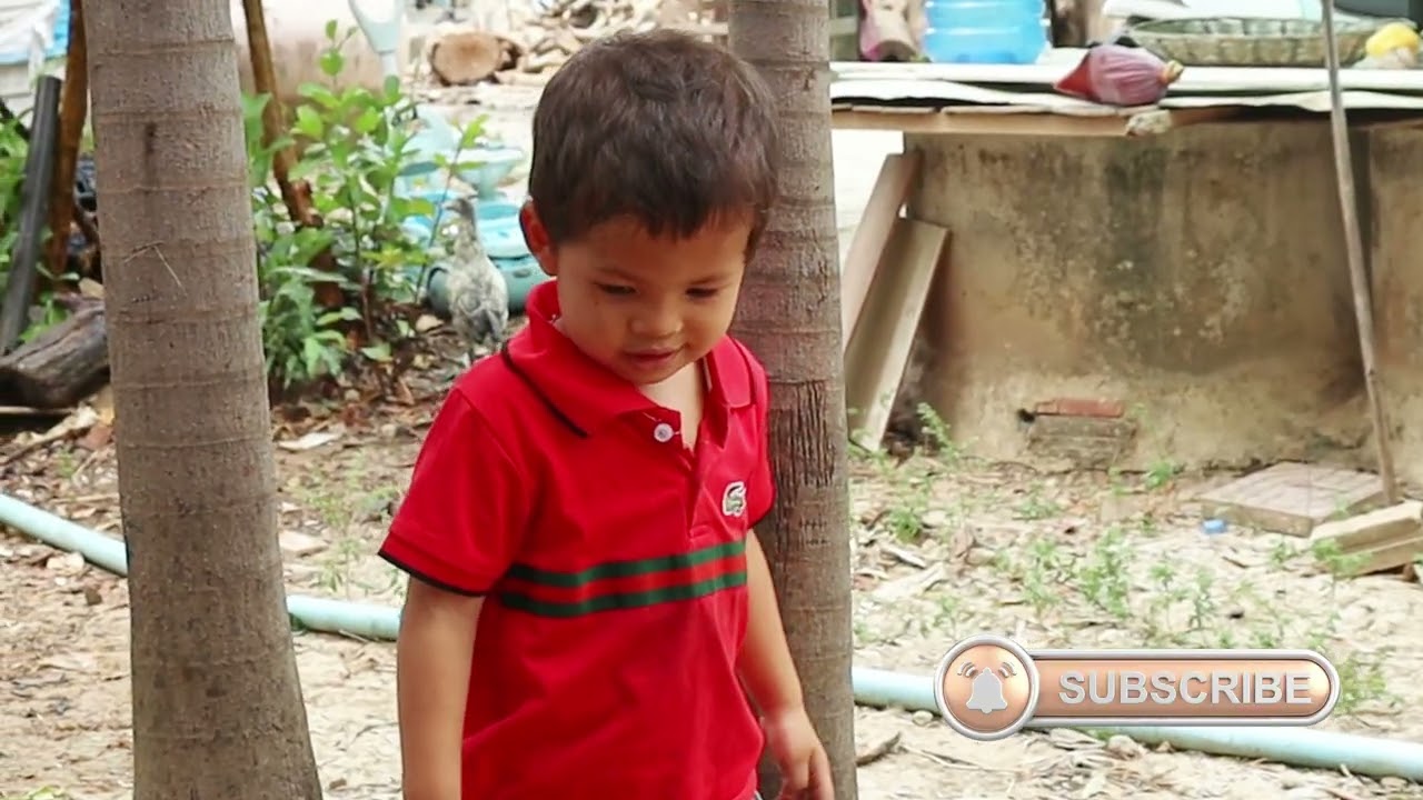 ចាហ៊ួយតើយដូងខ្ចី(Coconut Leaf teiy jelly dessert) style life rural by jeco