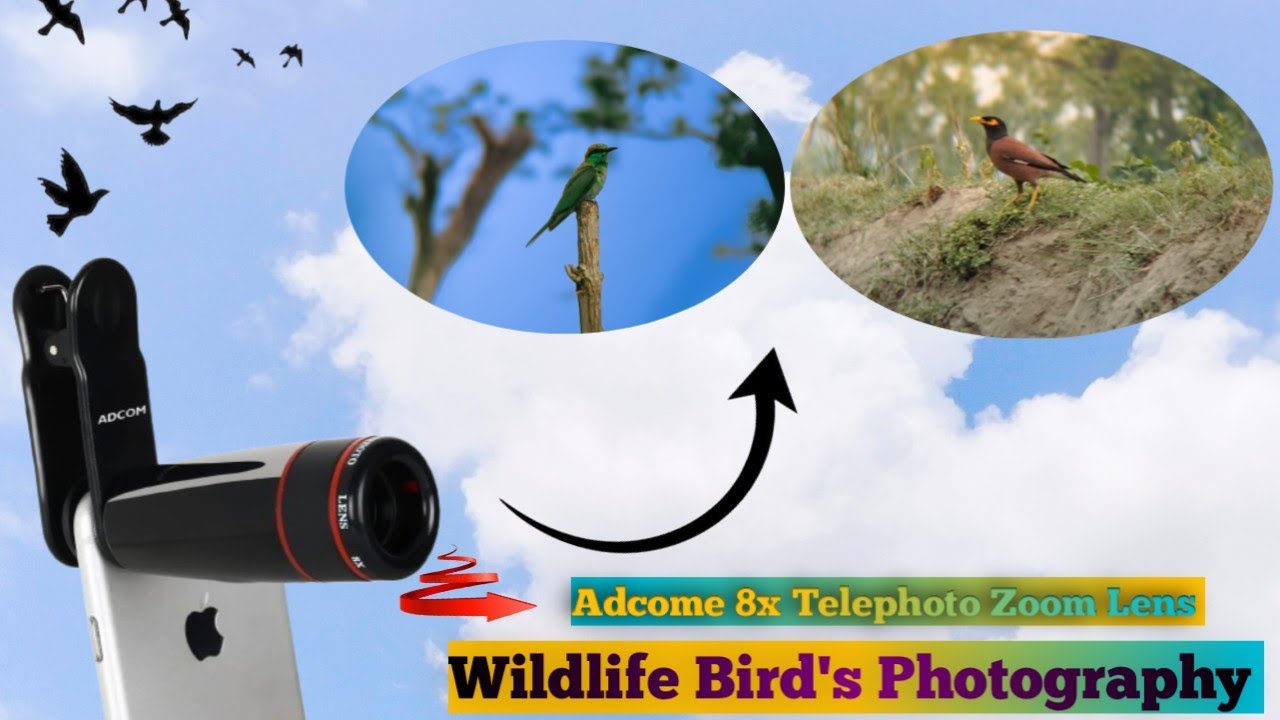 Adcome 8x Telephoto Zoom Lens Review |  Adcome telephoto lens photography vedeo | bird photography