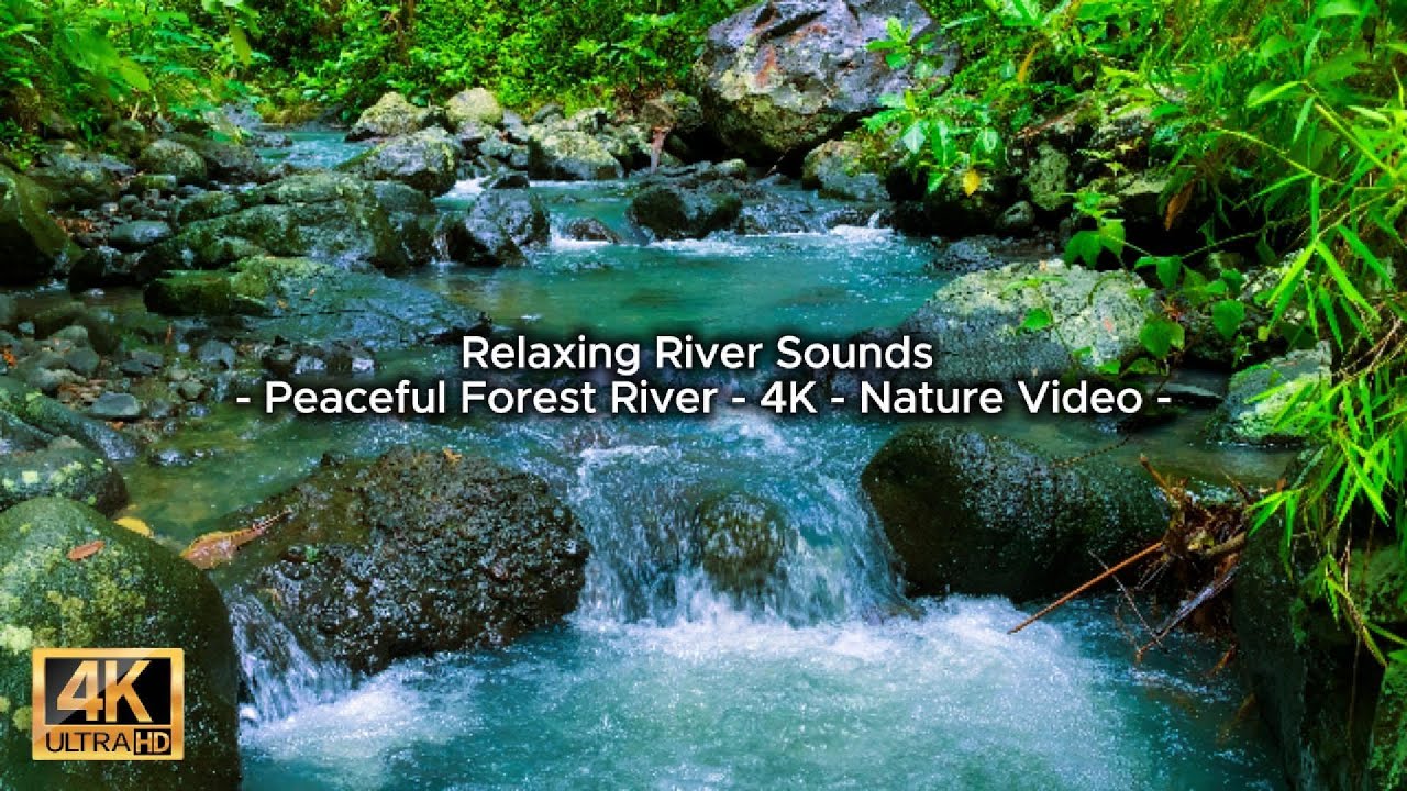 Deep Sleep with Natural River ASMR 🎧#trending #asmr #river #calm #yt #viral #fyp #fy #river #relax