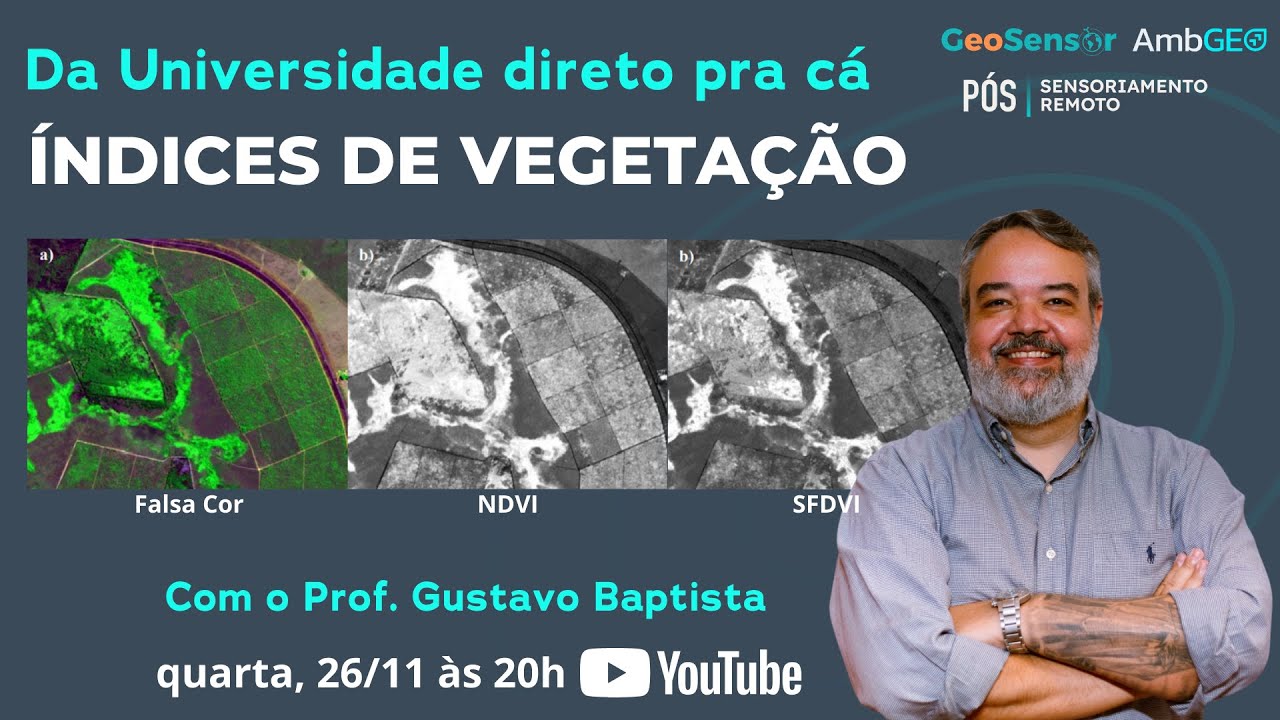 Índices de Vegetação