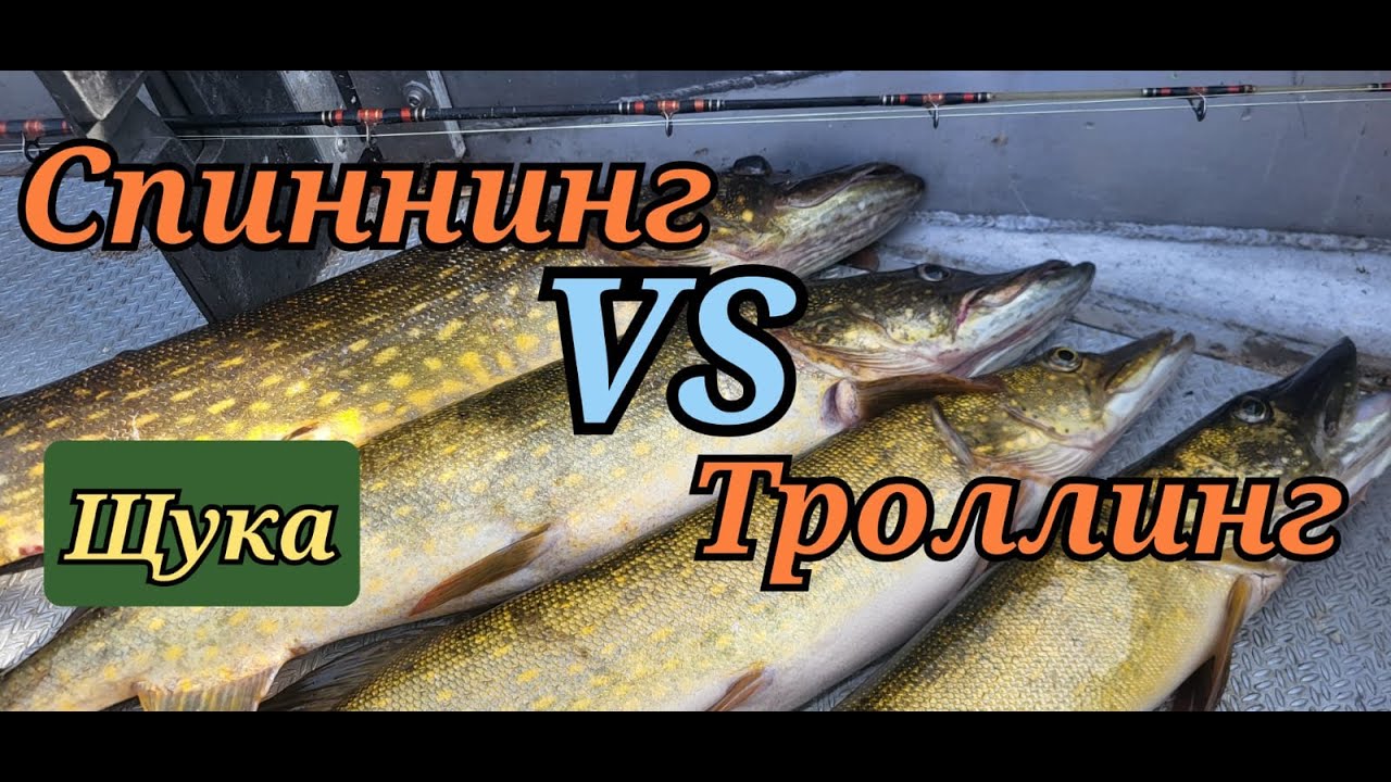 Сказ о том, как классика троллинг уделала.
