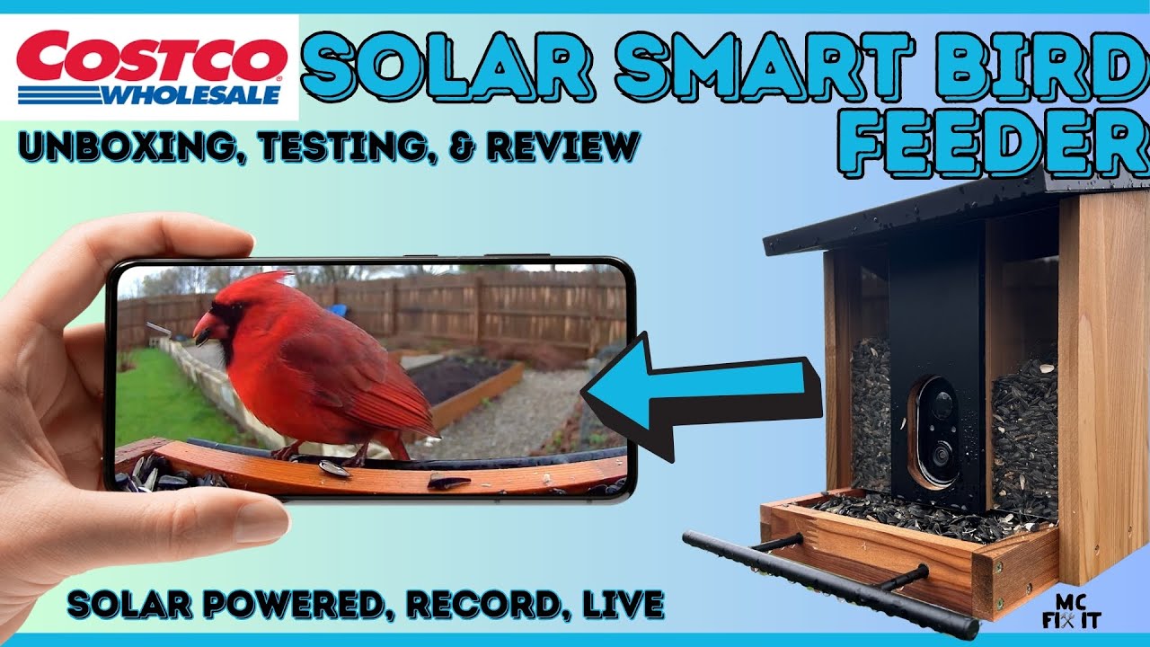 Is This $109 Costco Smart Solar Bird Feeder Worth The Money? Unboxing, Set Up, Testing, & Review