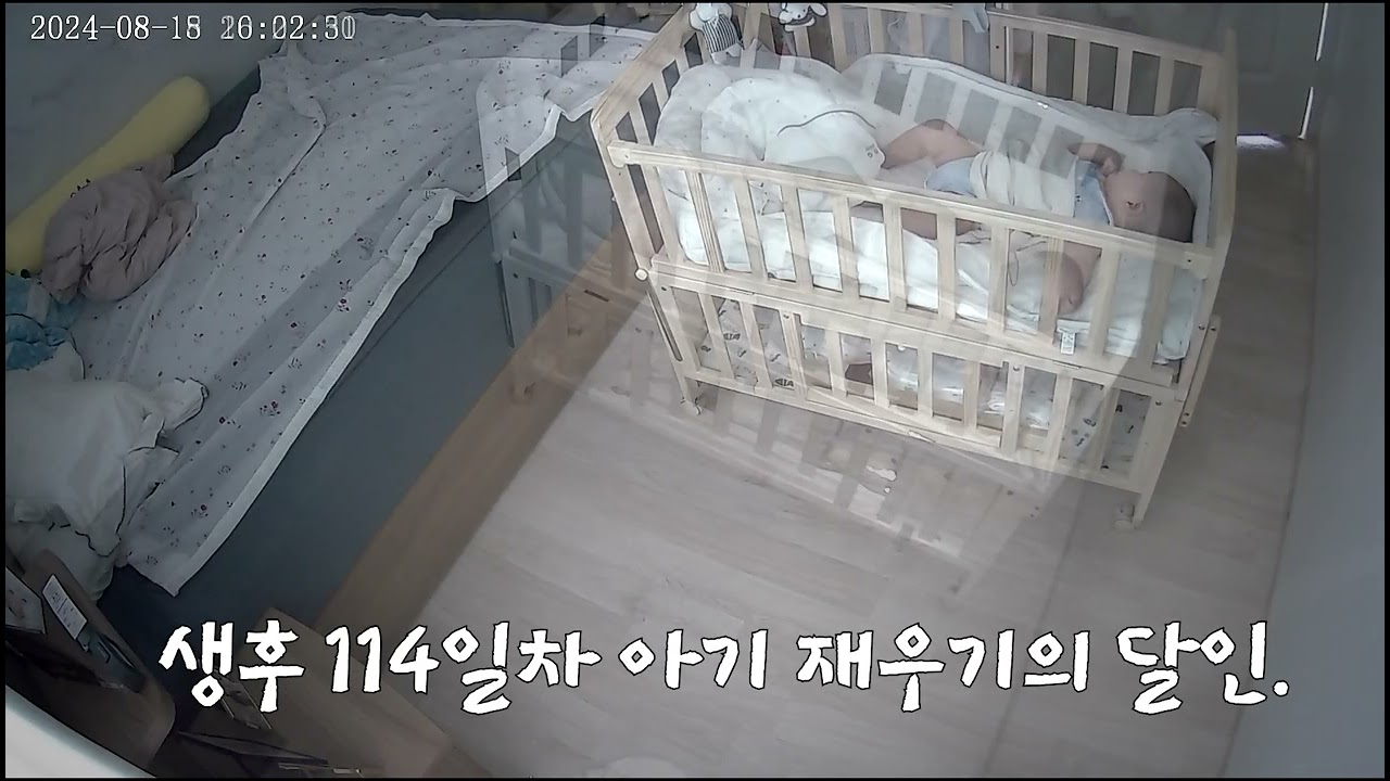 111, 114일차 아기 재우기의 달인