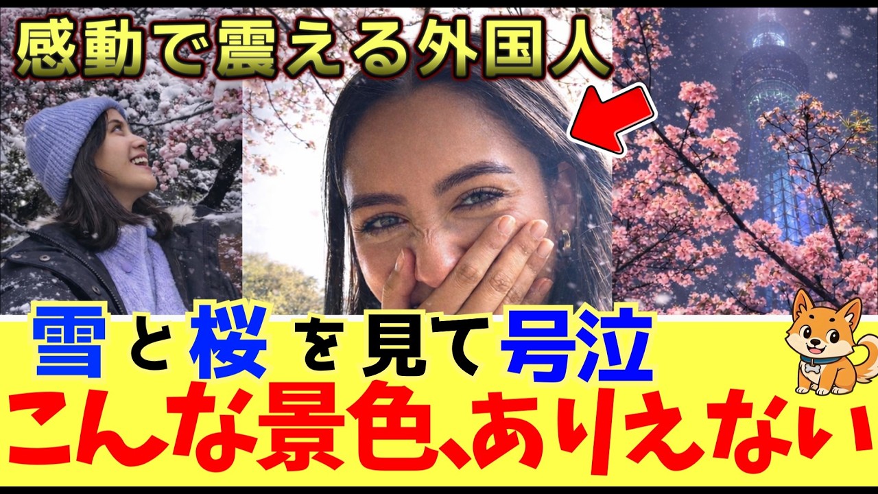 【海外の反応】「日本の春はズルい…」桜が美しすぎて外国人が号泣した末路。