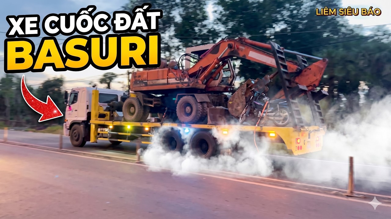 Săn Xe Tải Có Kèn Ong Vàng