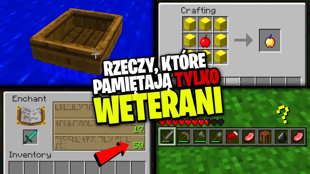 RZECZY, KT&Oacute;RE PAMIĘTAJĄ TYLKO WETERANI MINECRAFT!