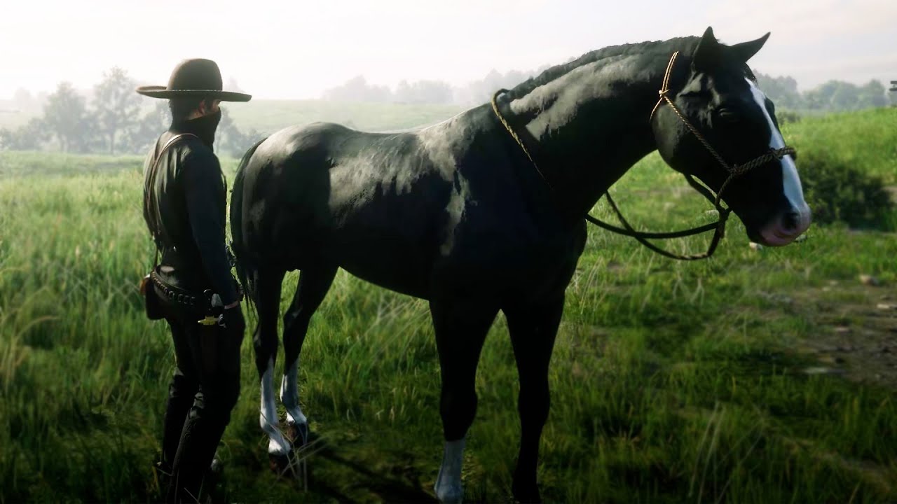 CABALLO MUERTO | RED DEAD REDEMPTION 2