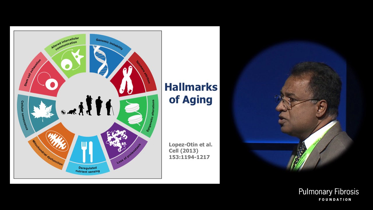 Role of Aging and Senescence in IPF | Victor Thannickal, MD
