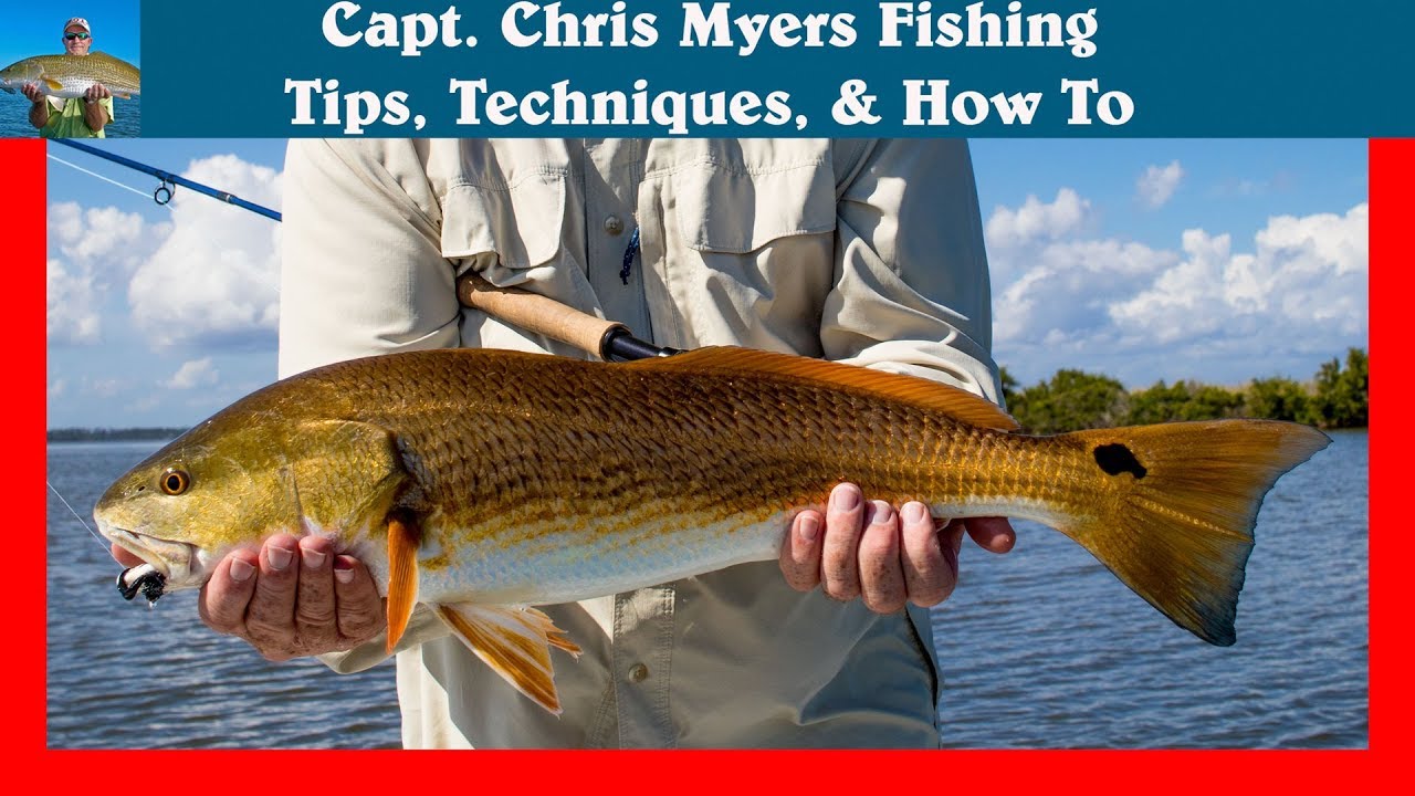 Tailing Redfish near Orlando & Disney