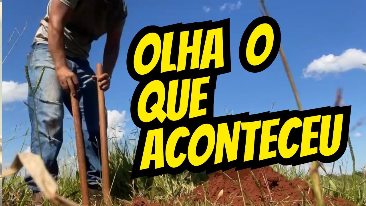 FAZENDO UMA REMANGA PARA O GADO- part 1 #gado #rural #roça 