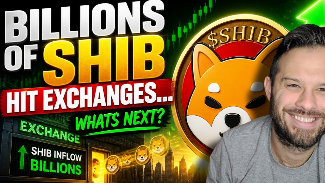 Монета Shiba Inu | Миллиарды SHIB на биржах... Что дальше?