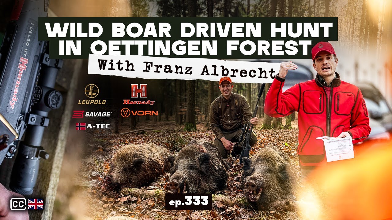 Wild Boar DRIVEN hunt in Oettingen Forest| with Franz Albrecht/Pogonski lov na Divlje Svinje E333