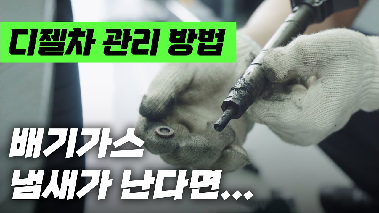 3분짜리 디젤차 관리 방법 ｜실내에서 배기가스 냄새가 난다면 이놈 때문