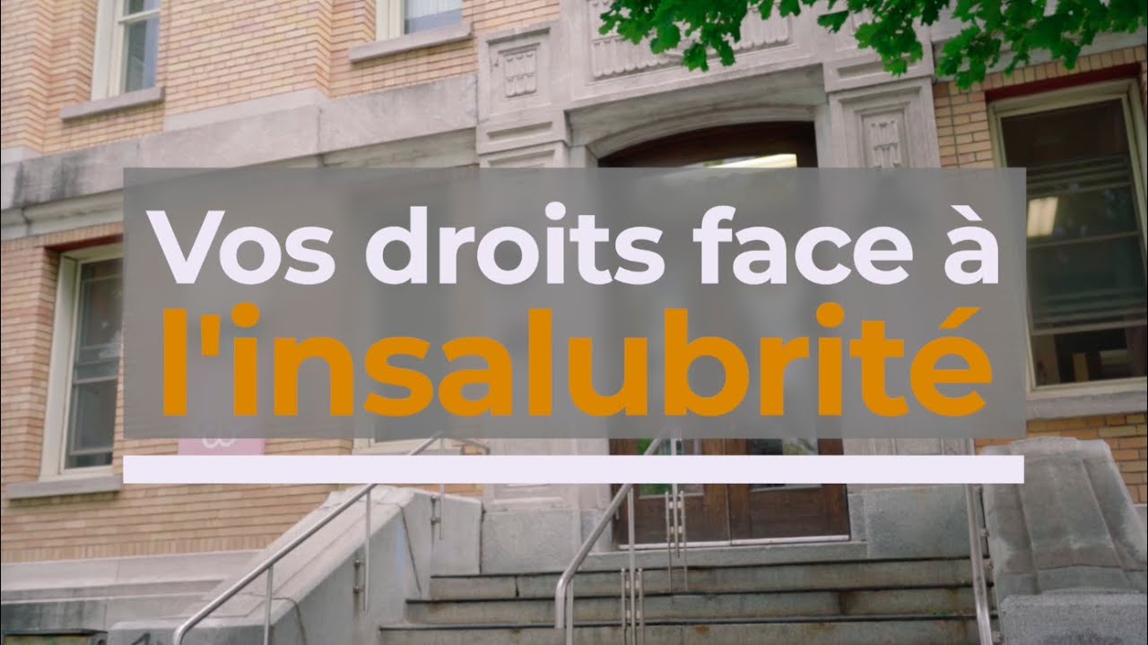 Vos droits face à l'insalubrité