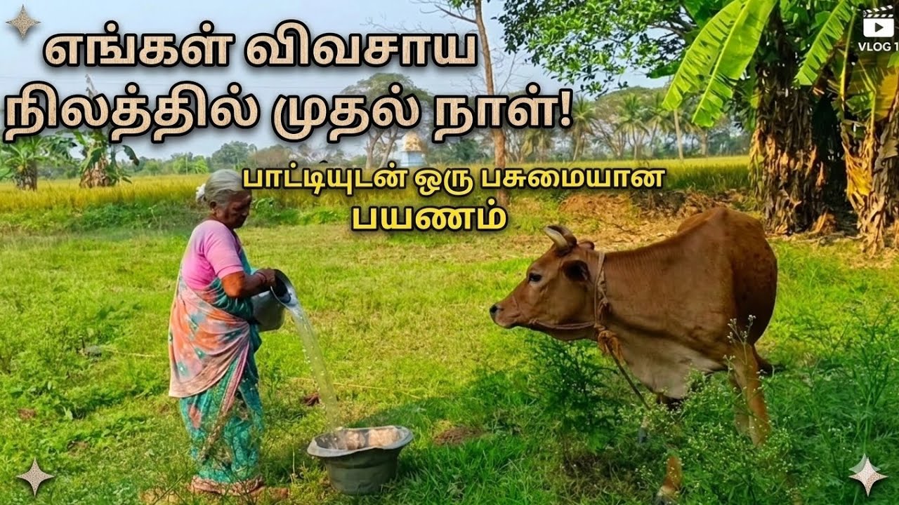 விவசாய நிலத்தில் பசுமையான அனுபவம்! ✨ | முதல் முறையாக வீடியோ எடுக்கிறோம்!