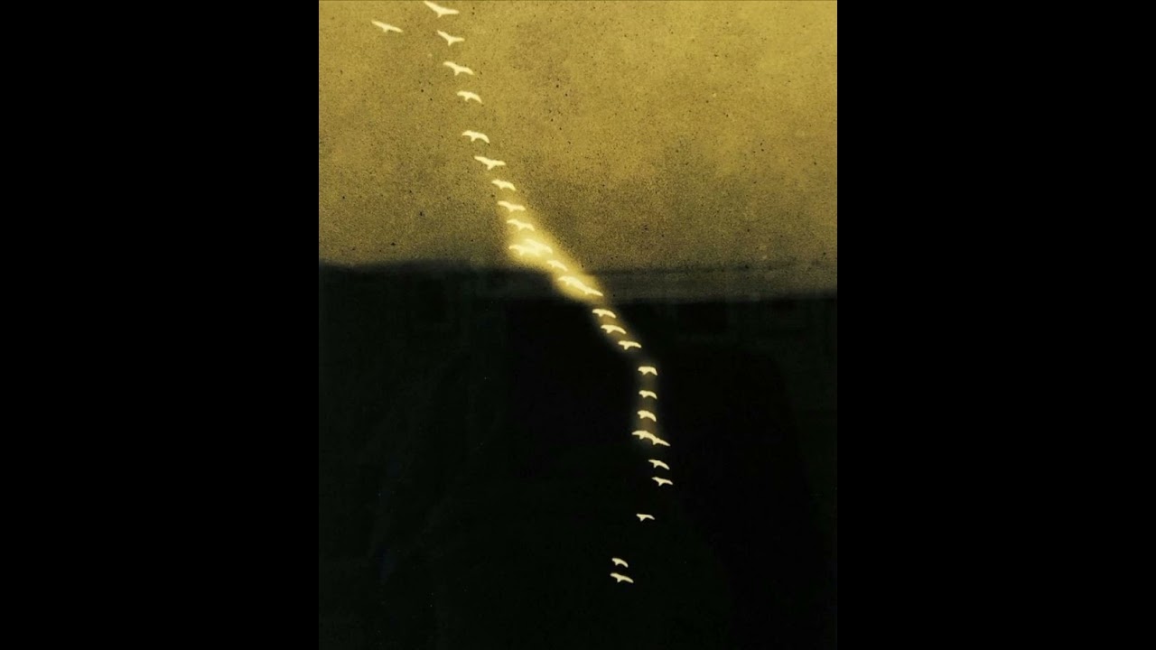 Mari Samuelsen - Song for Octave