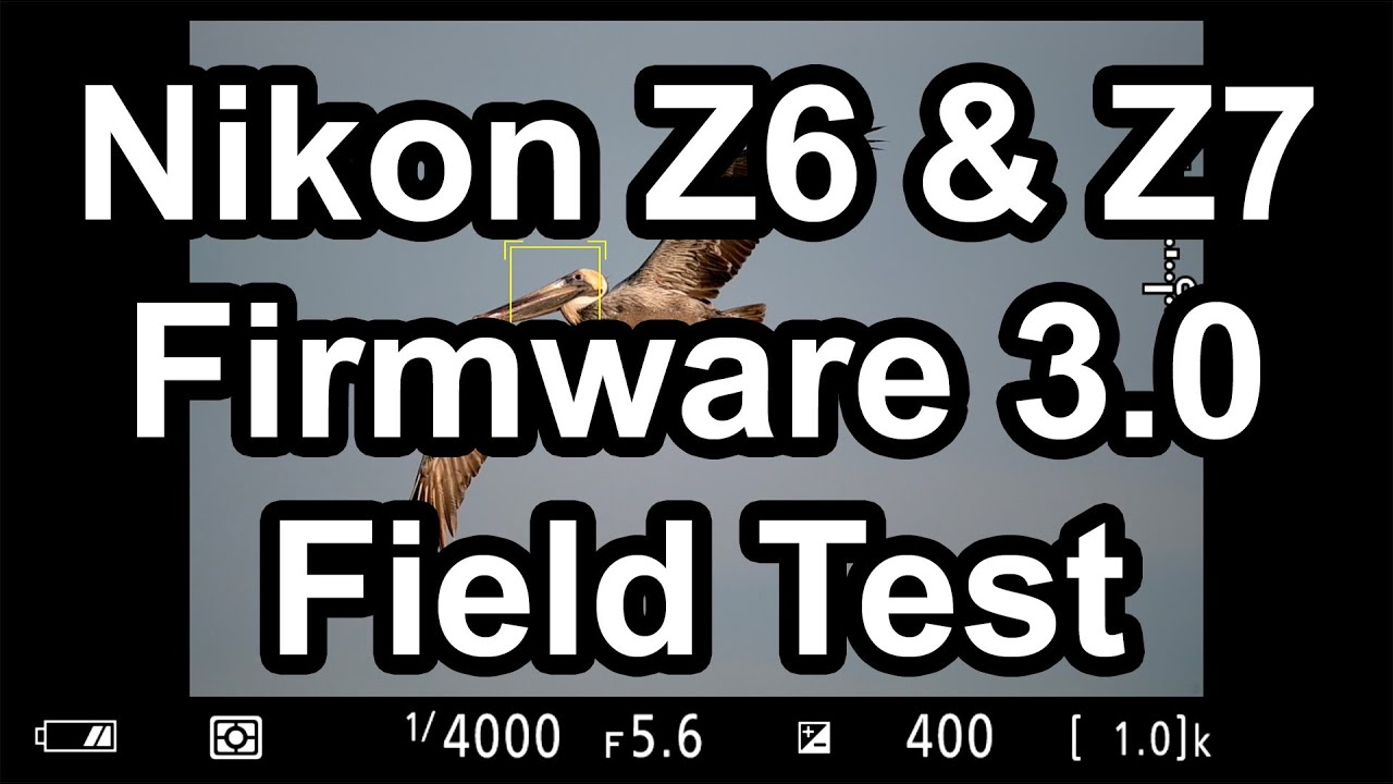 Nikon Z6, Z7 3.0 Firmware Field Test