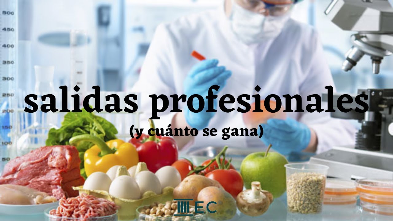 &iquest;De qu&eacute; puedes trabajar con Ingenier&iacute;a Alimentaria? - Salidas profesionales Ingenier&iacute;a Alimentaria