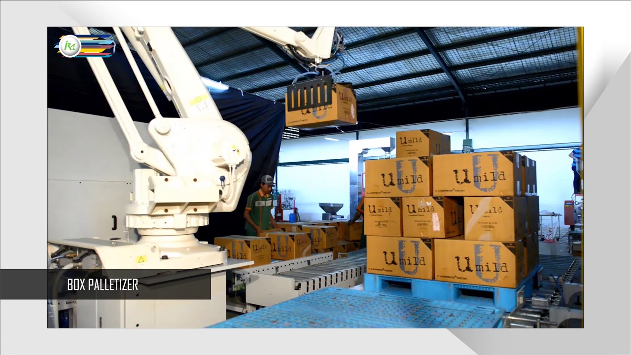 Cigarette Box Palletizer
