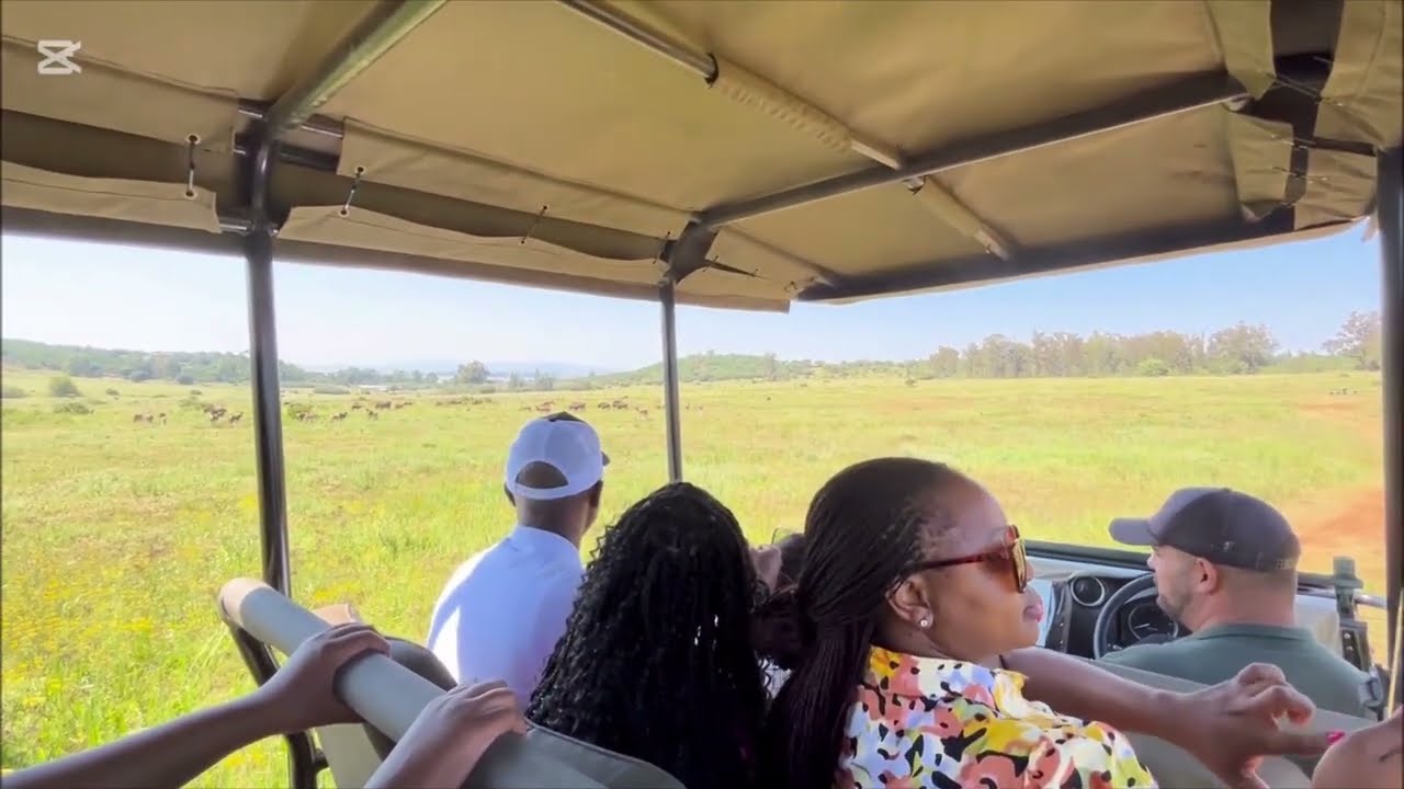 Thaba Eco Hotel stay, Joburg’s Hidden Gem. Birthday Weekend Escape