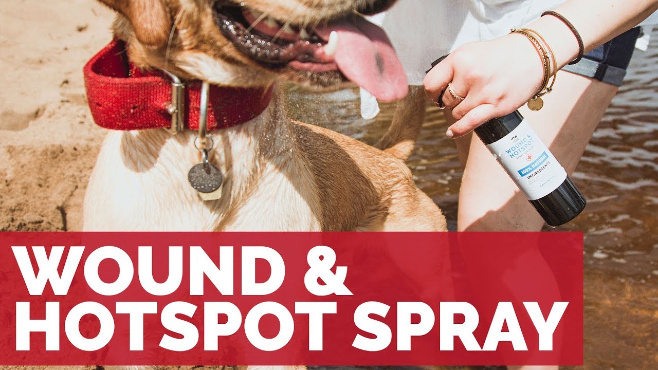 Legendary Canine Wound and Hotspot Spray
