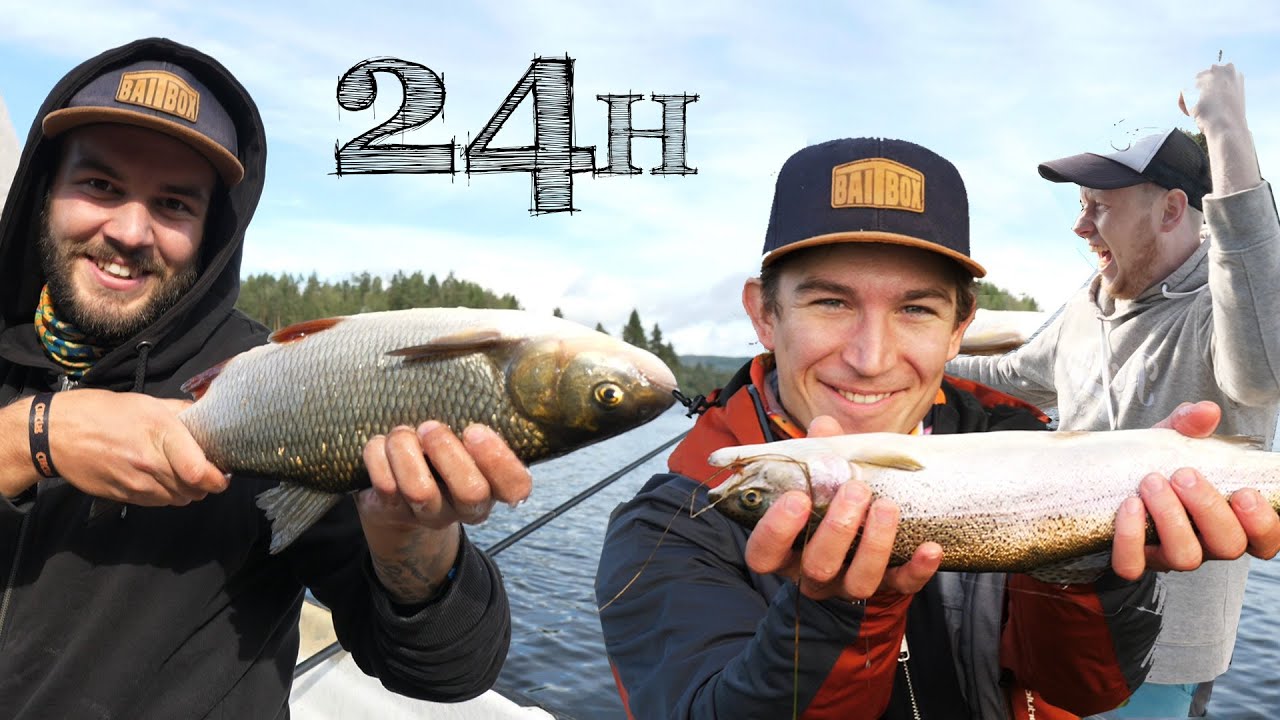Så många arter kan vi fånga på 24 H! Challenge! Utmanade av Kanalgratis