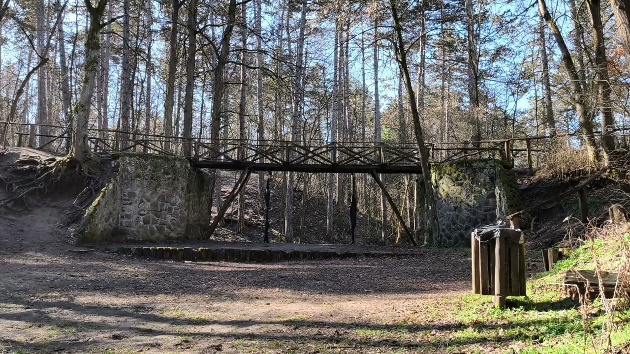 MOZDULATLAN MOZI - Februári tavasz a gödöllői Arboparkban