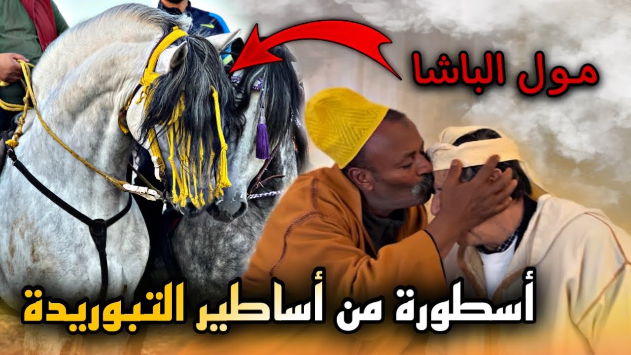 🚨زرنـا هرم من أهرام التبوريدة 😱 من أستاذ إلى مقدم لعب ب 76 حصان أمام الملك محمد السادس الله ينصروا..