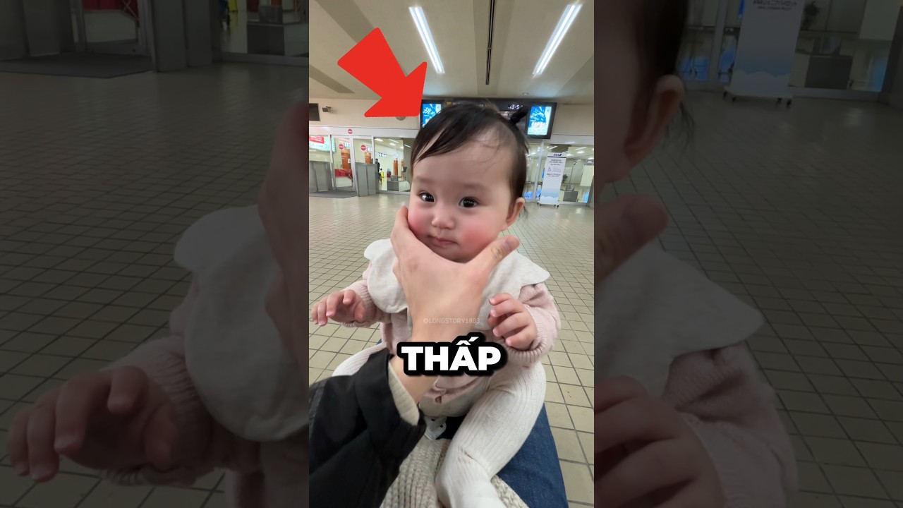 Nhật Bản sắp biến mất 🇯🇵 💔