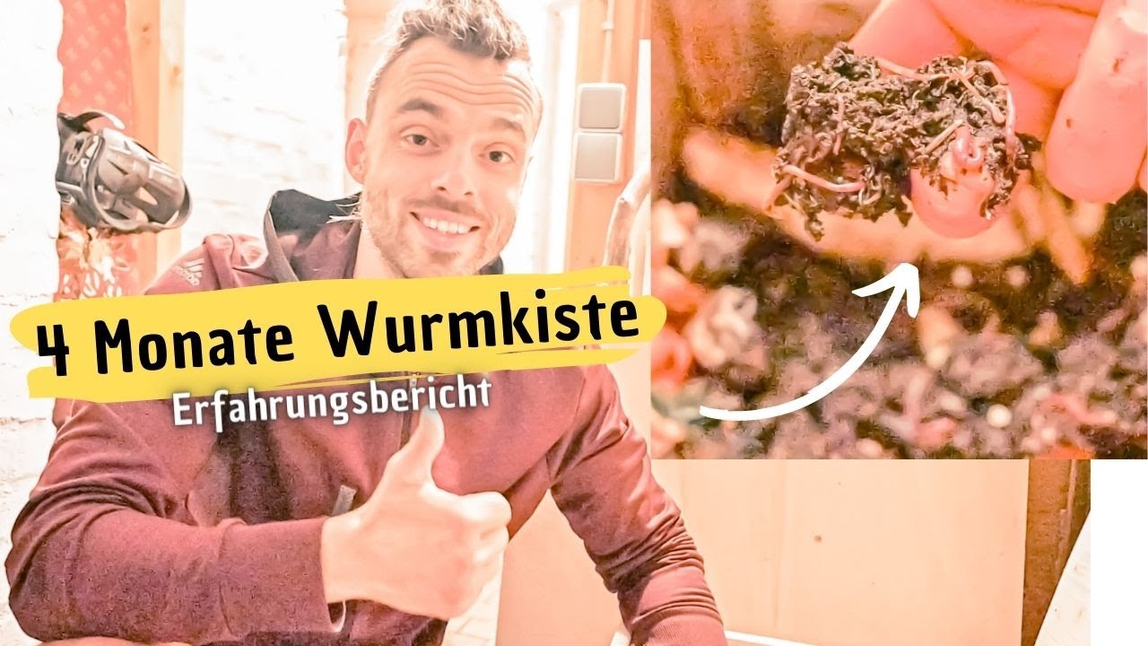 4 Monate Wurmkiste, ab in den Keller damit | Geruch | Wurmtee | Schimmel | Fliegen in der Wurmkiste