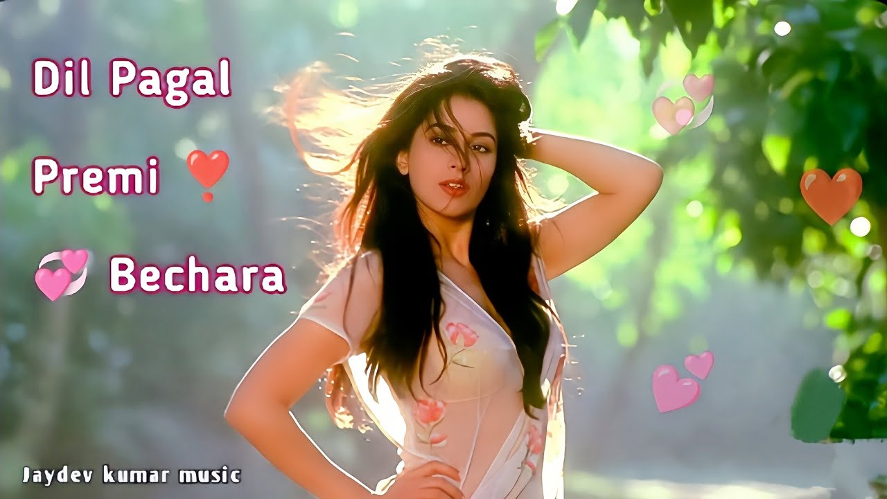 Dil Pagal Premi Bechara❣️((Sad Song))💘 | 90s Bollywood New Heart Touching Hindi Song 