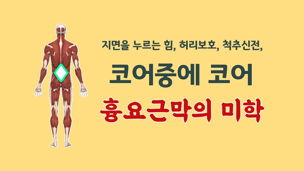 [ 마름모코어 시즌2-46 ] 지면을 누르는 힘, 허리 보호, 척추 신전을 만드는 가장 중요한 코어 부위와 제대로 쓰는 법