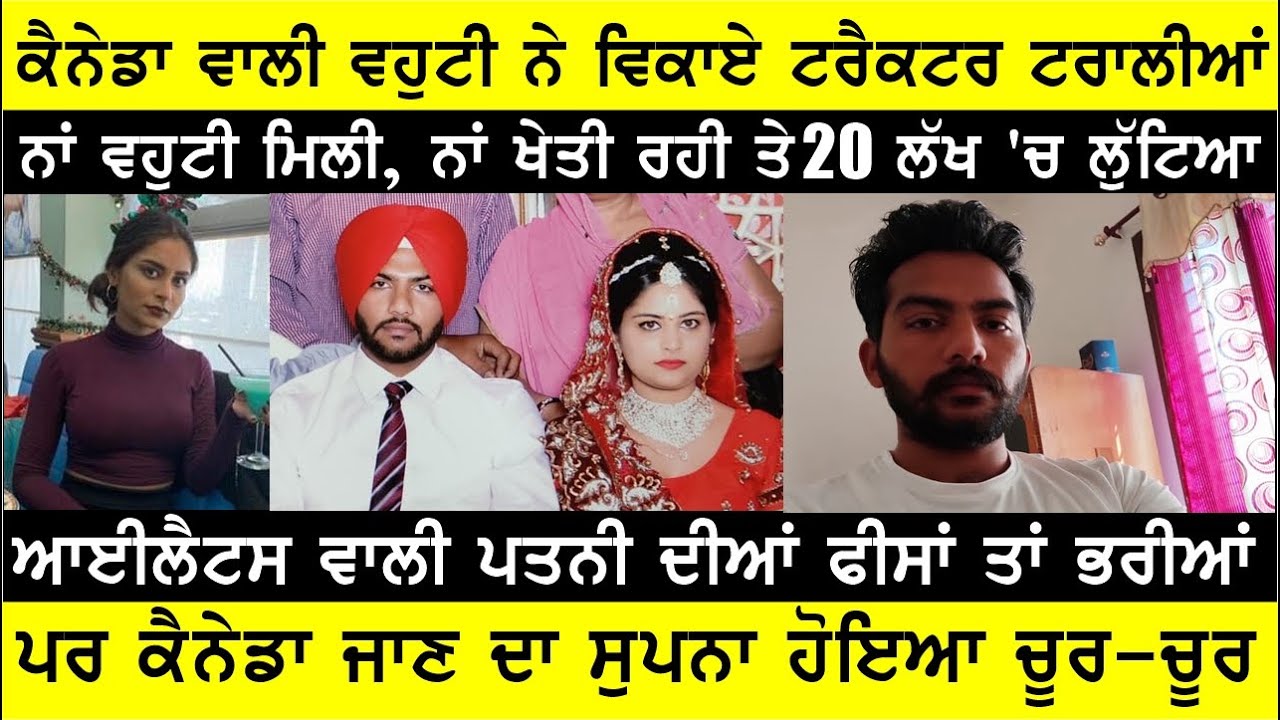 ਆਈਲੈਟਸ ਵਾਲੀ ਵਹੁਟੀ ਨੇ ਵਿਕਾਏ ਟਰੈਕਟਰ ਟਰਾਲੀਆਂ , IELTS SPOUSE MARRIAGE PUNJAB , BASSI SHOW