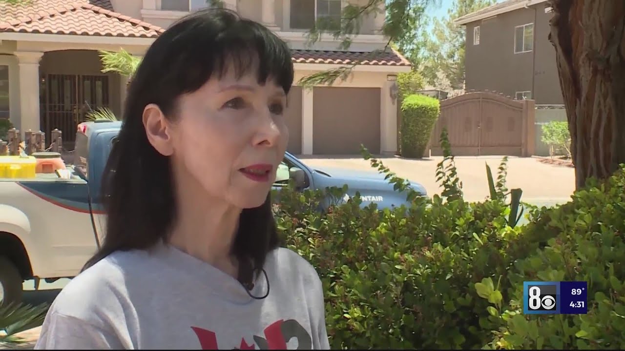 Solar company's license revoked, fined $460K for 'flagrant behavior'