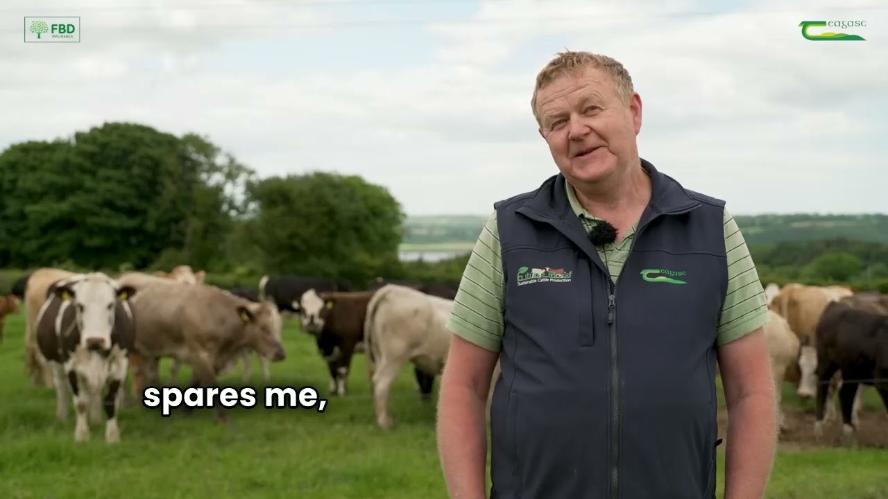Future Beef Farms - Eamon and Donnchadh McCarthy