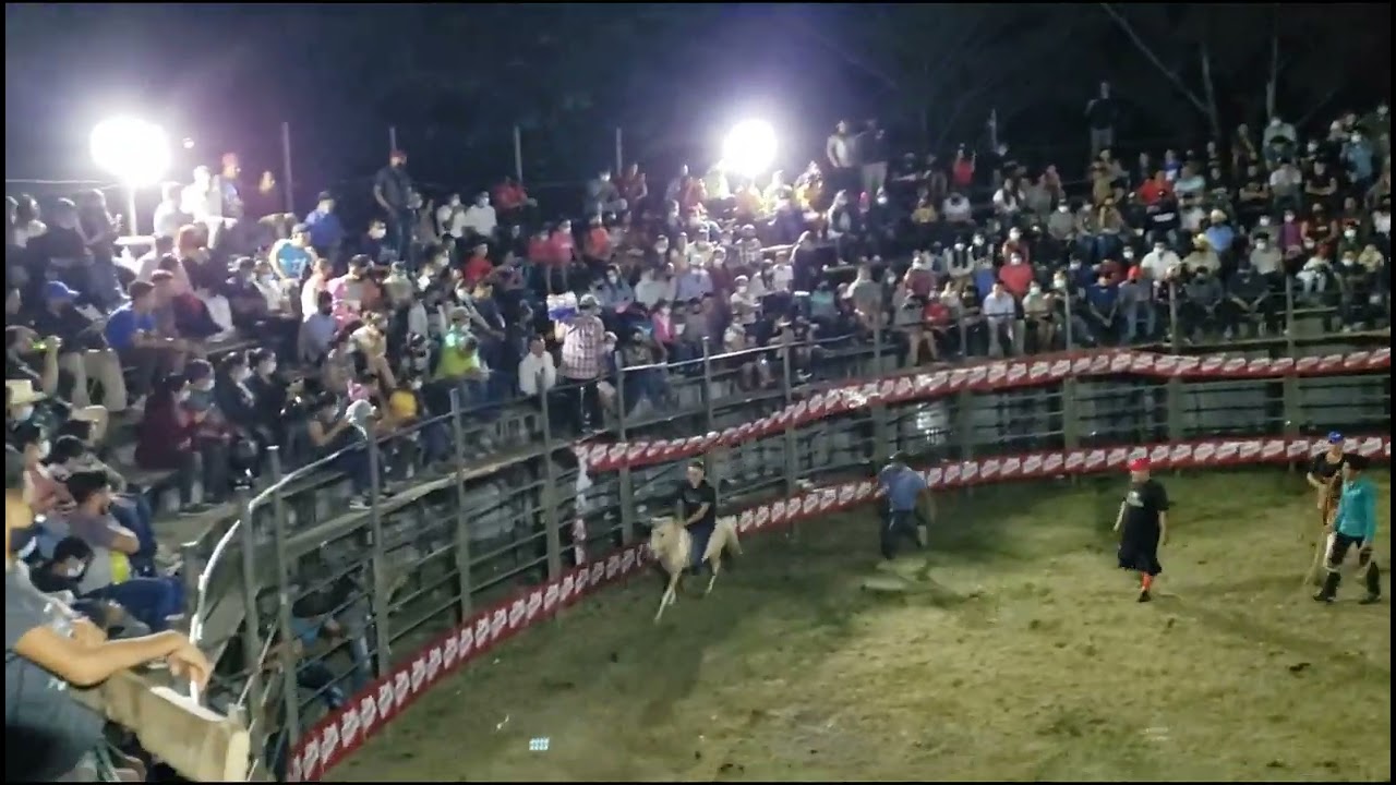 Osicala, De Regreso Las Fiestas Titulares Jaripeo, Juegos Mecánicos Y Mas  /  Los Campechitos 503