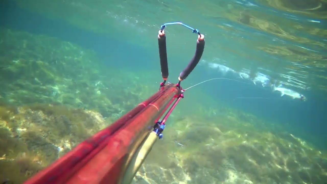 Seahawk Demon 80