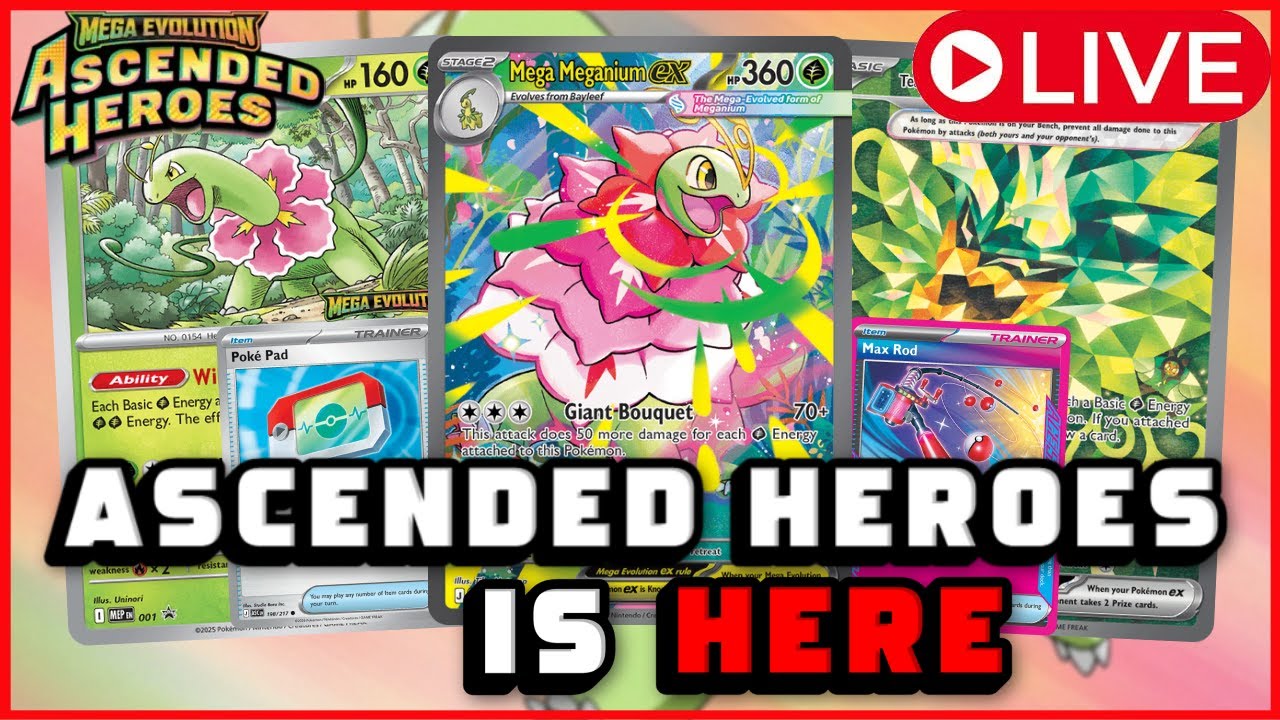 ASCENDED HEROES - MEGA MEGANIUM EX. COME THROUGH.