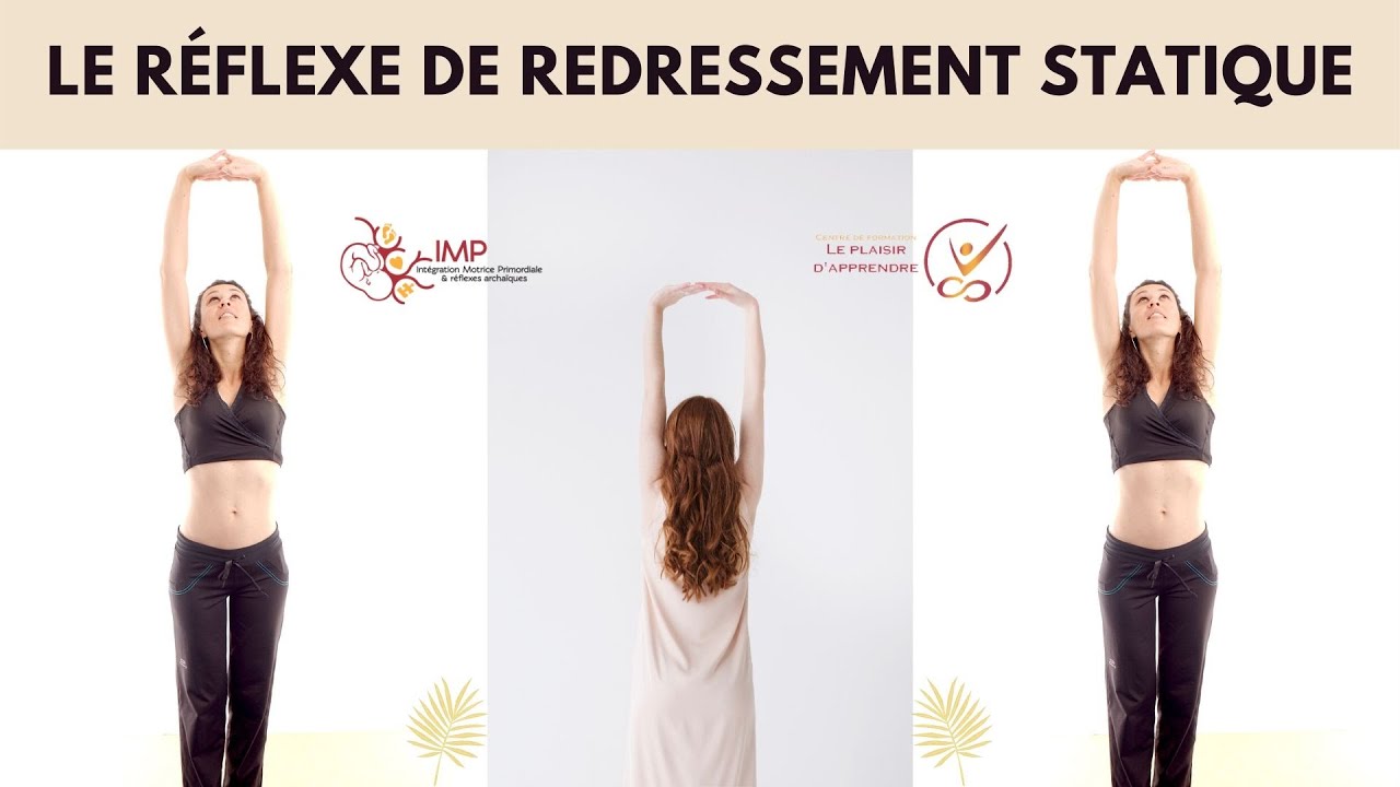 Le réflexe de redressement statique - Intégration Motrice Primordiale (IMP)