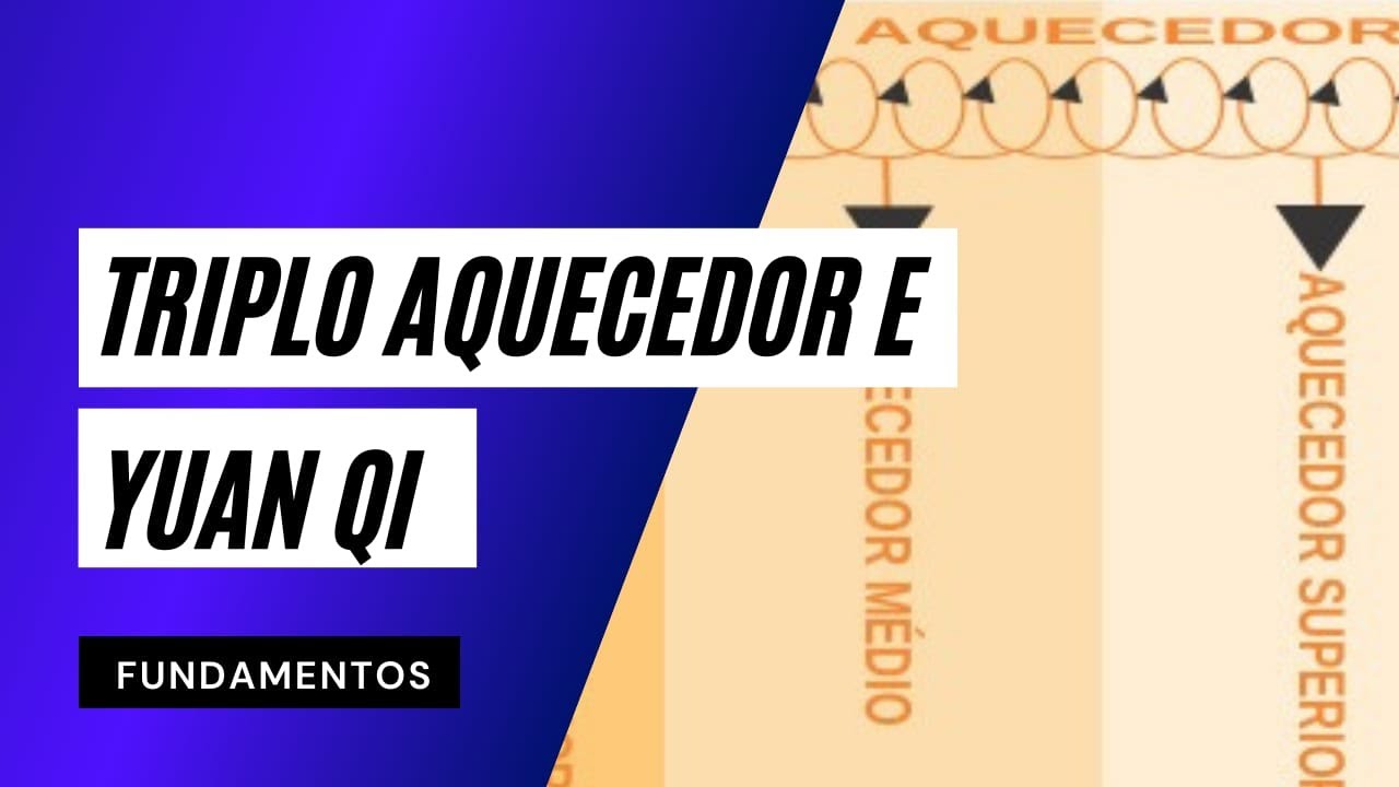 Relação entre o Triplo Aquecedor e o Yuan Qi