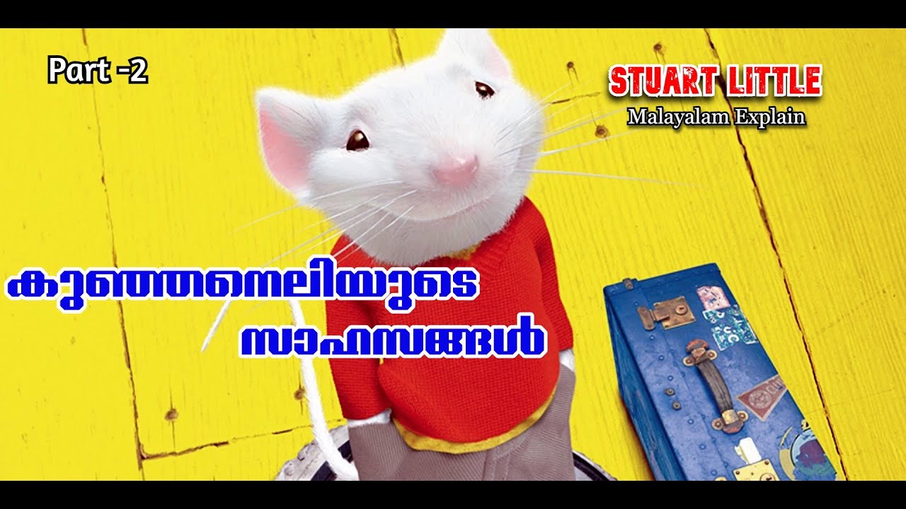 Stuart Little Malayalam Movie Explain | Part -2 | Cinima Lokam...