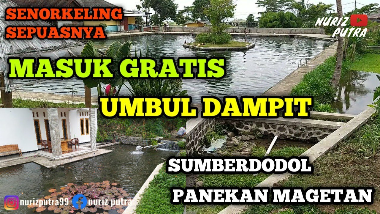 MANTAP❗UMBUL DAMPIT SUMBER DODOL PANEKAN MAGETAN