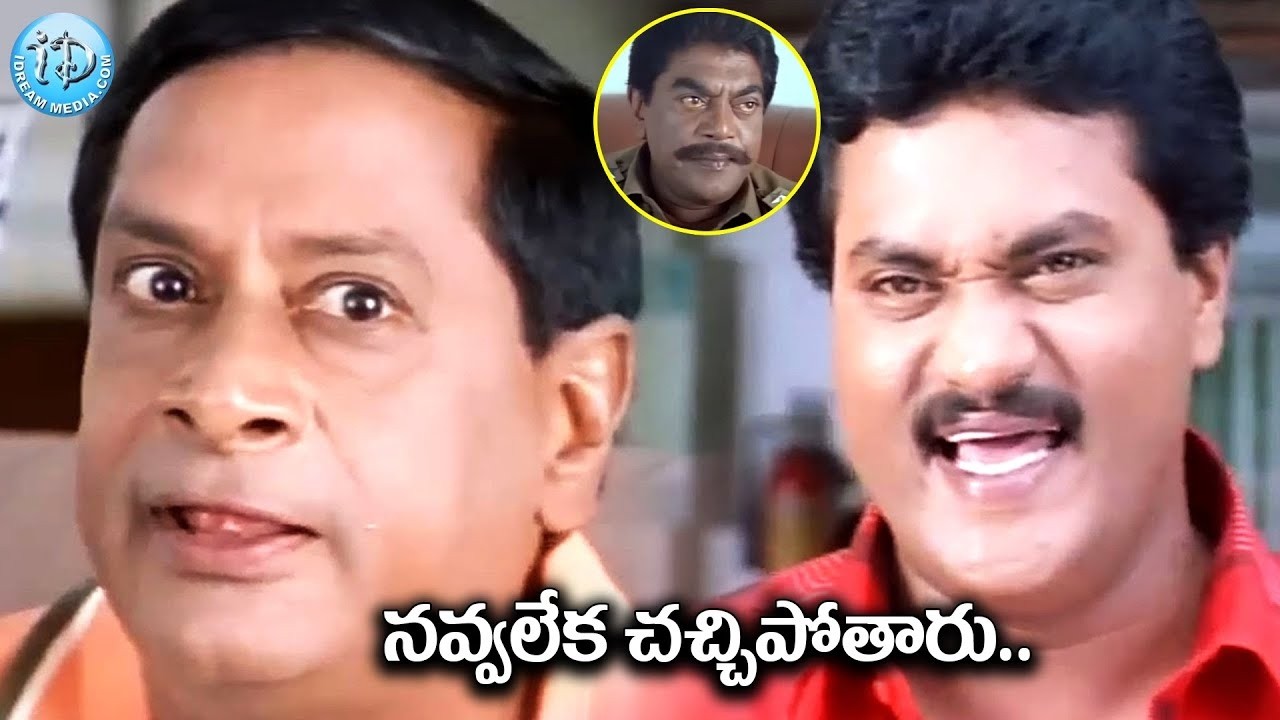 Sunil and Ms Narayana Best Comedy Scenes | Telugu Back To Back Comedy Scene |@iDreamCelebrityMasti