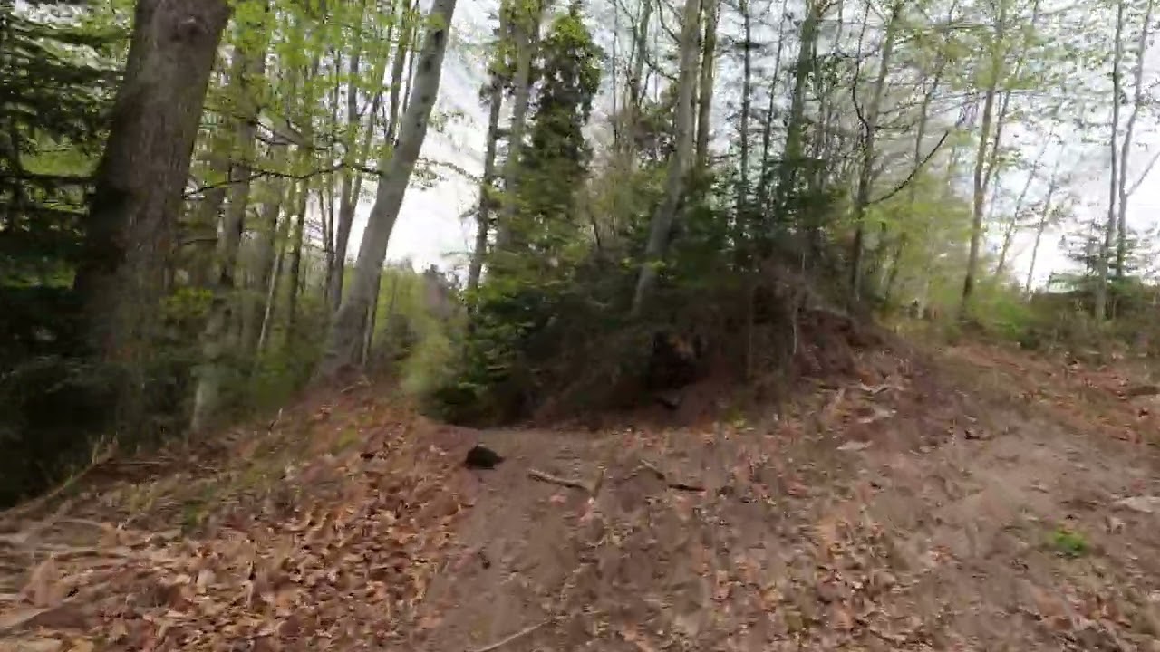 E-MTB-Tour - Murrhardt Siebenknie+Felsenmeer