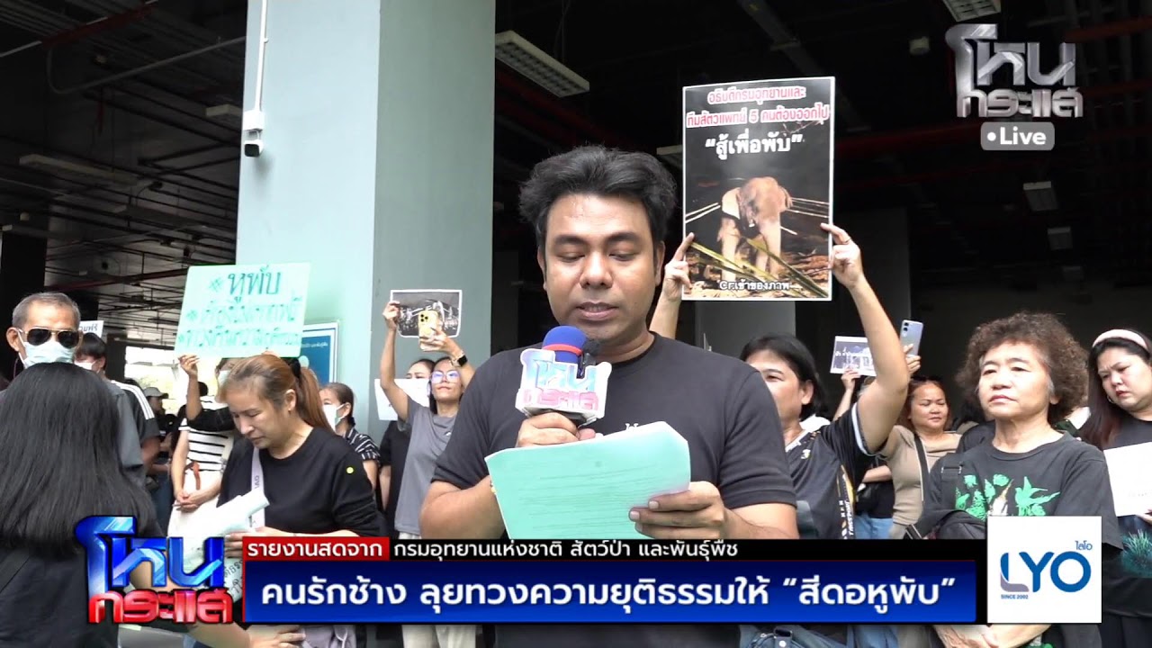 Live คนรักช้าง ลุยทวงความยุติธรรมให้ สีดอหูพับ
